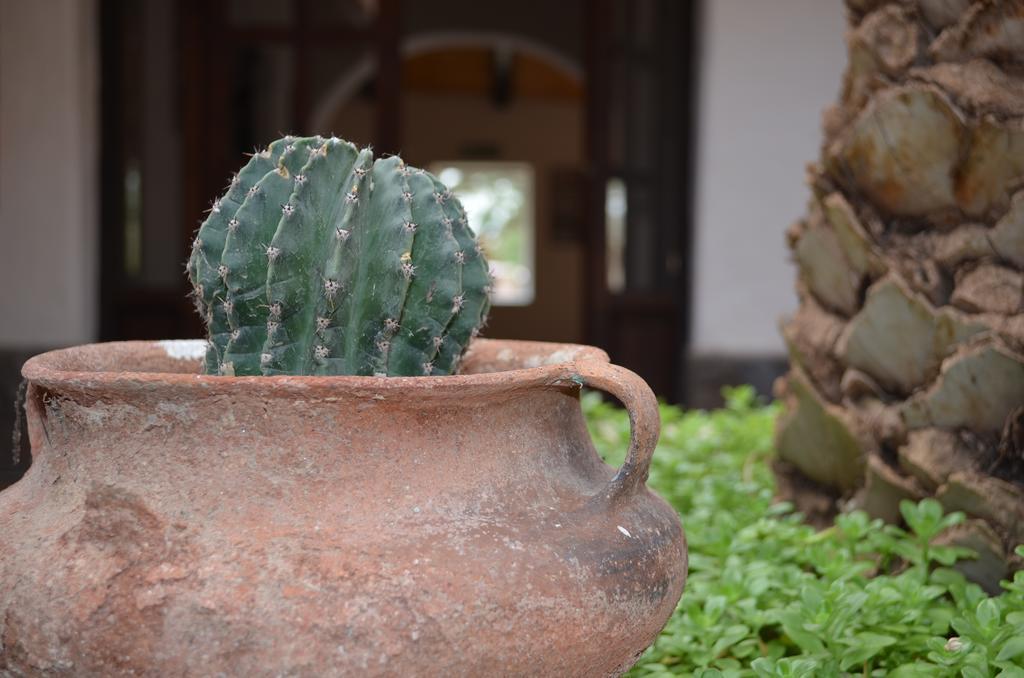 Angastaco Finca El Carmen المظهر الخارجي الصورة