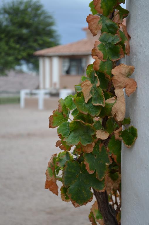 Angastaco Finca El Carmen المظهر الخارجي الصورة
